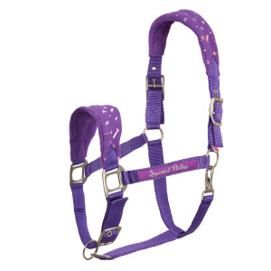Imperial Headcollar Not Today - Royal purple - P/S