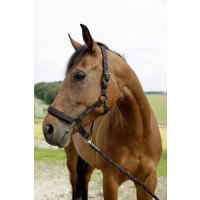 Kerbl Halfter GoLeyGo System schwarz/fuchsia Pony