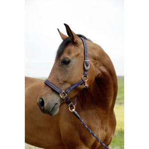 Kerbl Halfter GoLeyGo System braun/hellblau Pony
